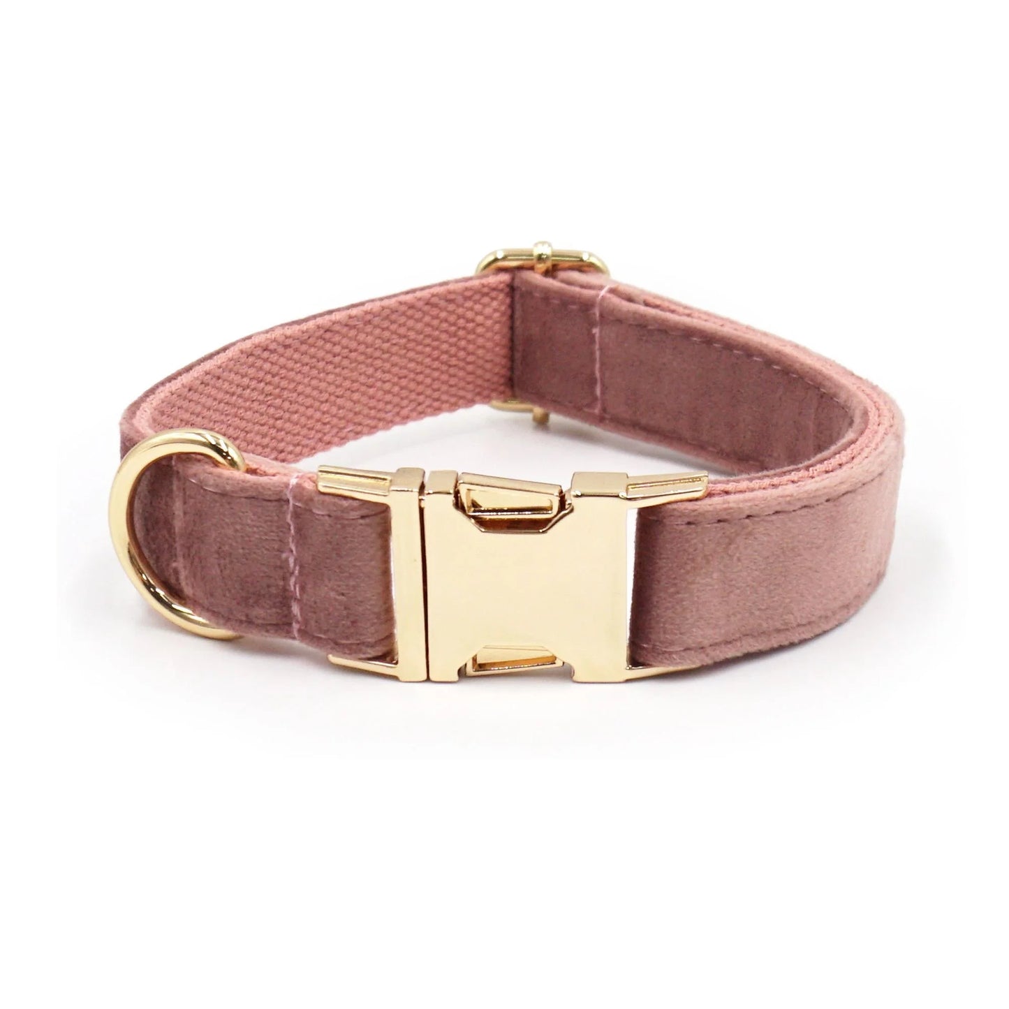 Embroidered Dog Collar-SQ2726916
