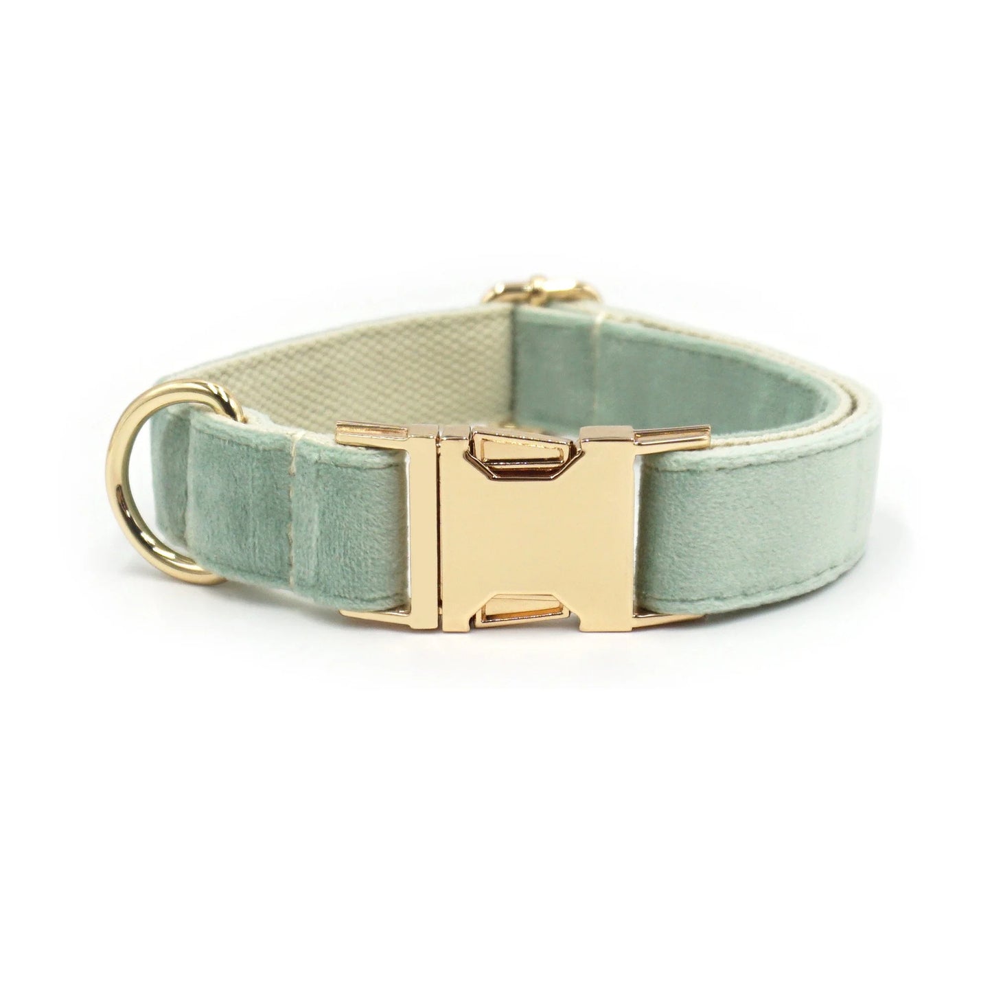 Embroidered Dog Collar-SQ2726916