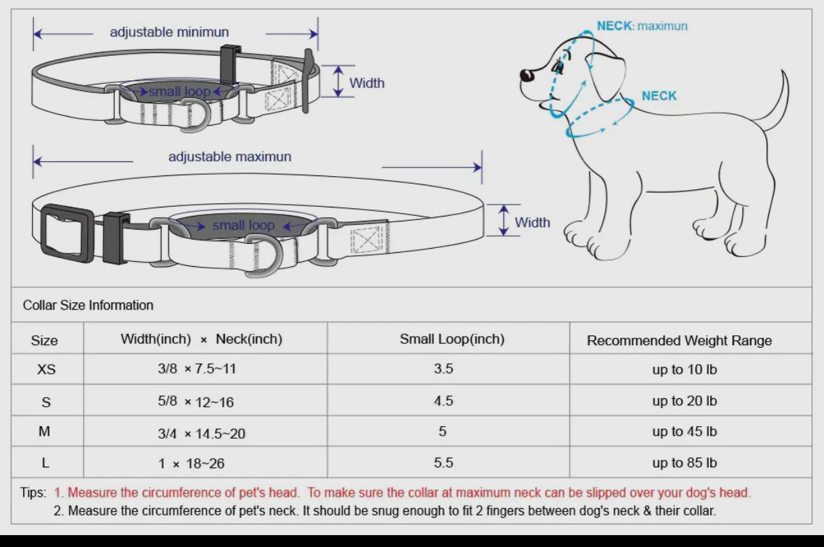 Embroidered Martingale Dog Collar