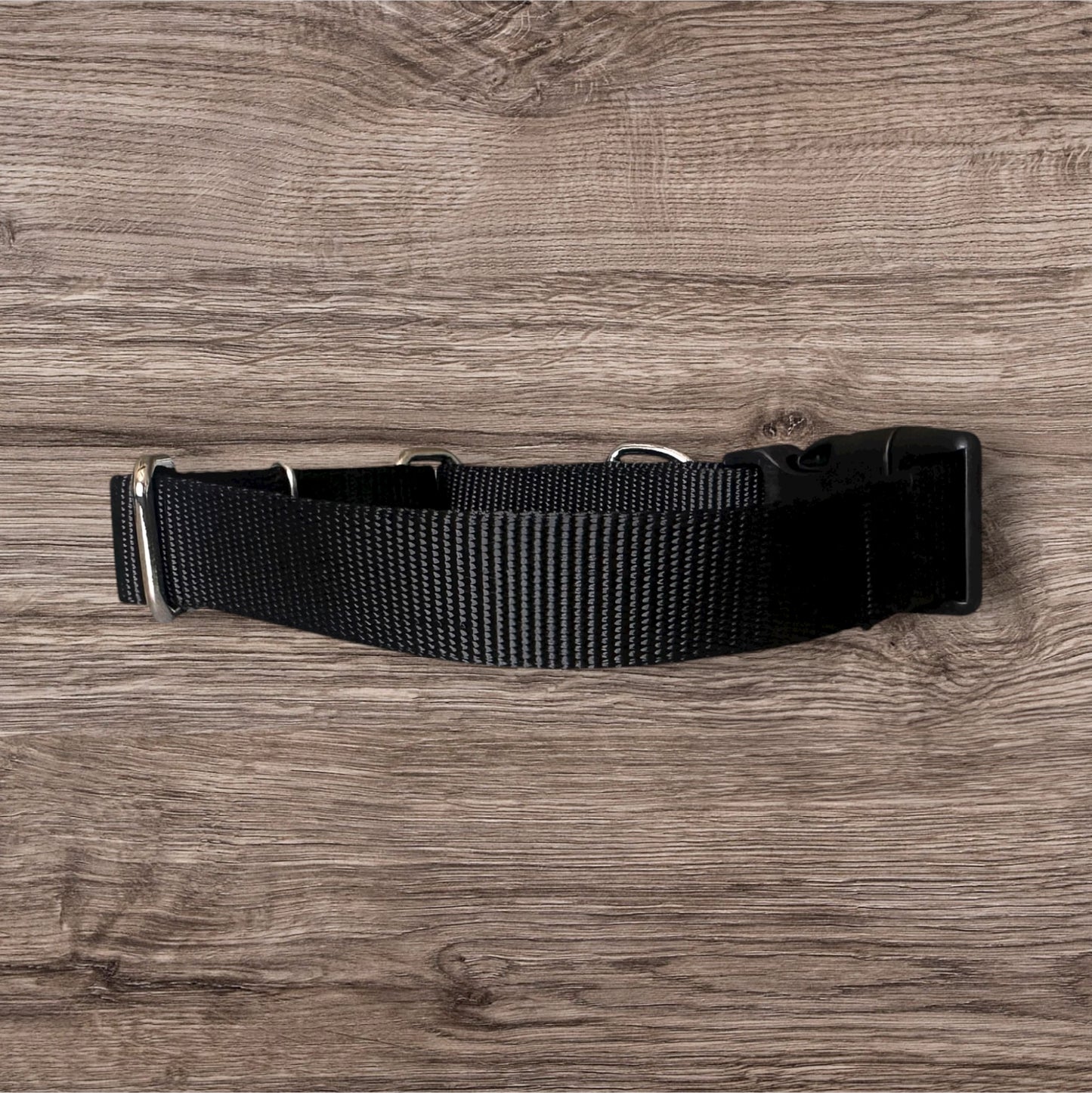Embroidered Martingale Dog Collar