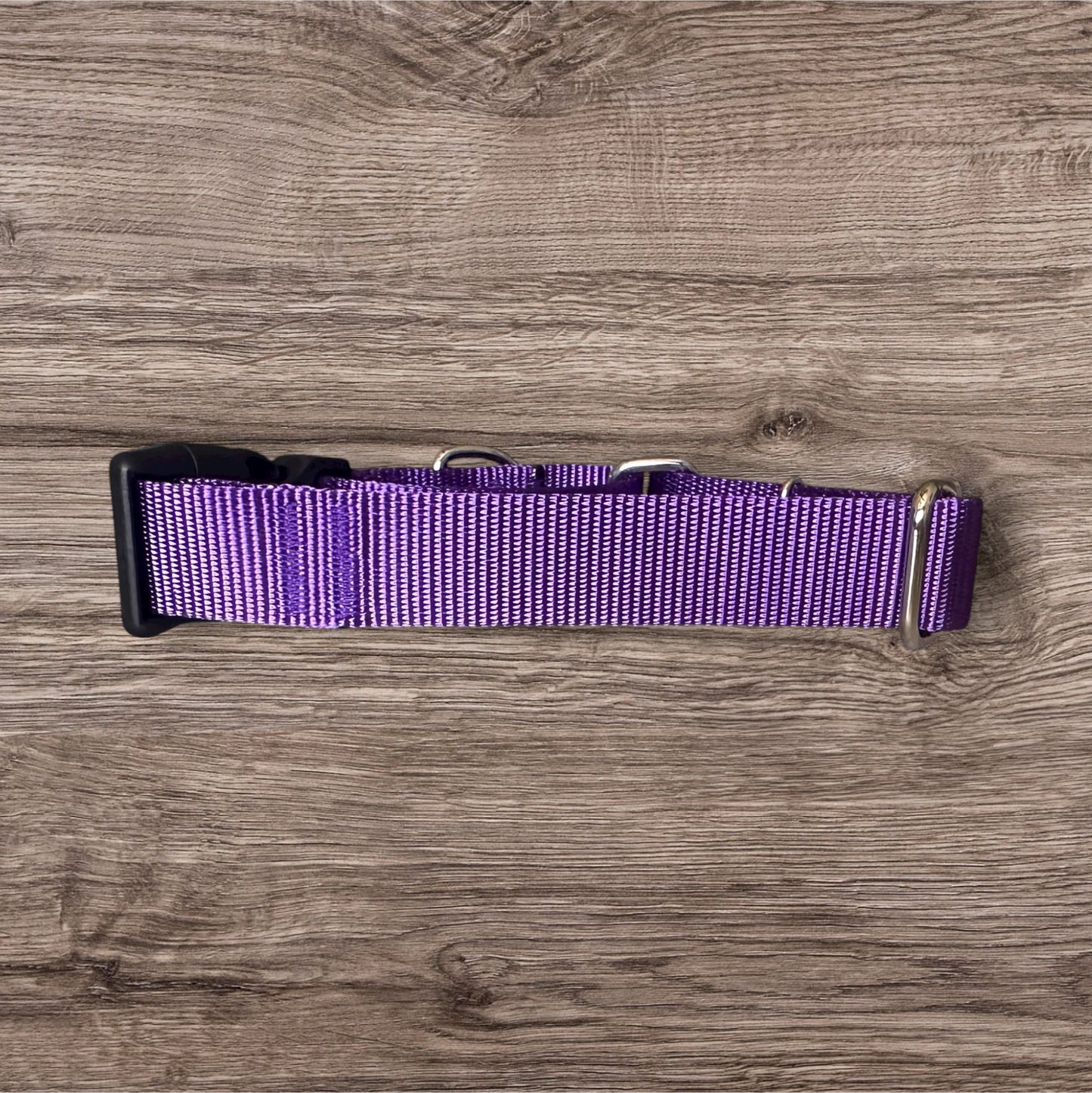 Embroidered Martingale Dog Collar