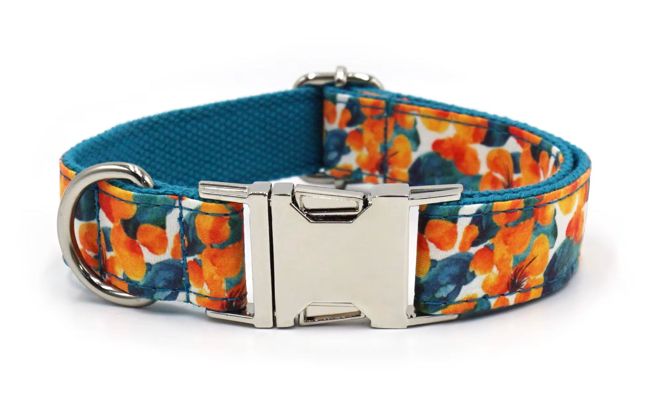 Embroidered Dog Collar-SQ2726916