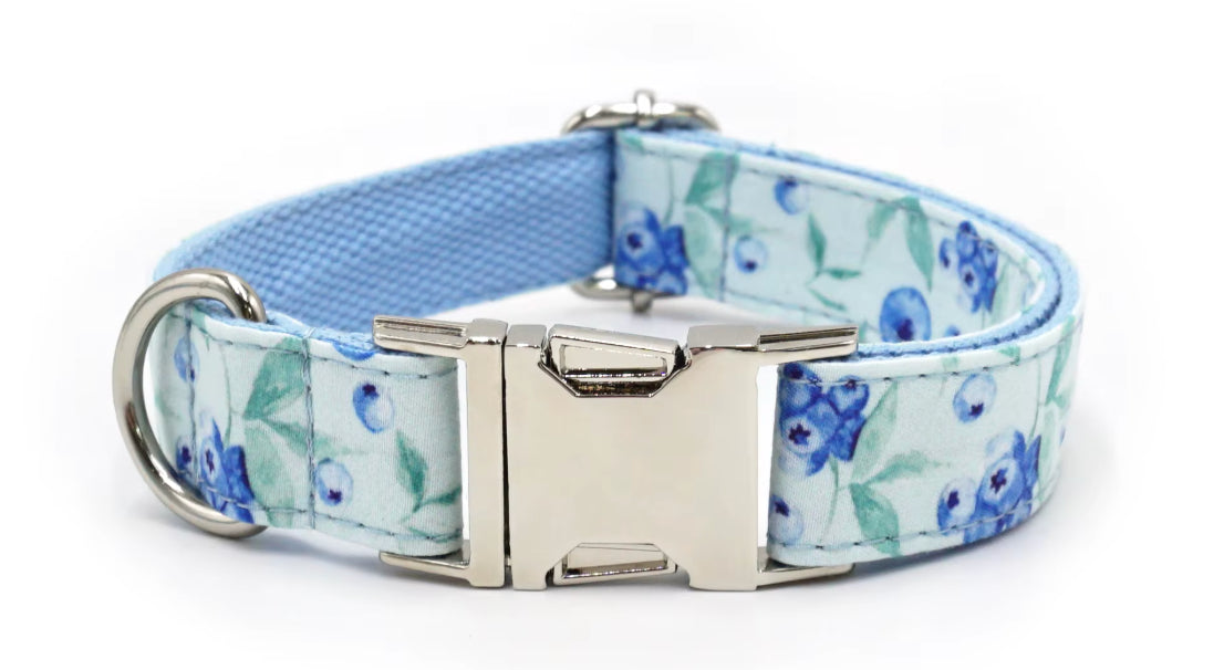 Embroidered Dog Collar-SQ2726916