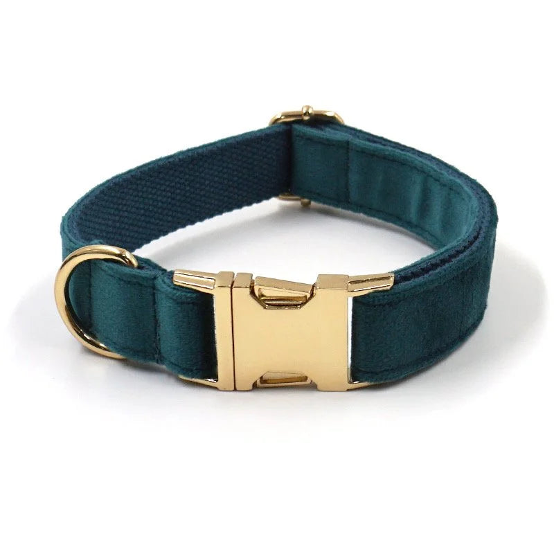 Embroidered Dog Collar-SQ2726916