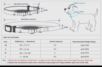 Embroidered Martingale Dog Collar