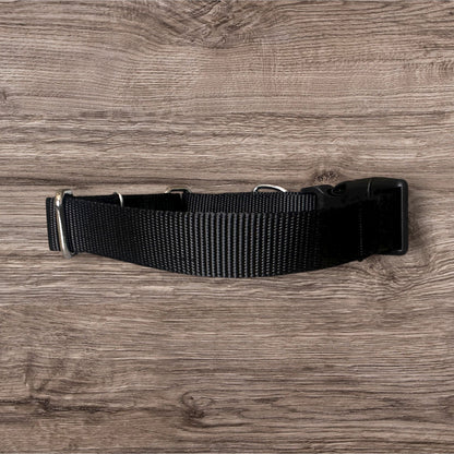 Embroidered Martingale Dog Collar