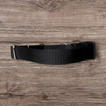 Embroidered Martingale Dog Collar