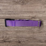 Embroidered Martingale Dog Collar