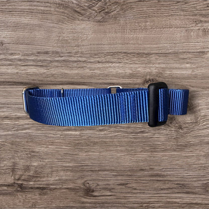 Embroidered Martingale Dog Collar