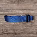 Embroidered Martingale Dog Collar